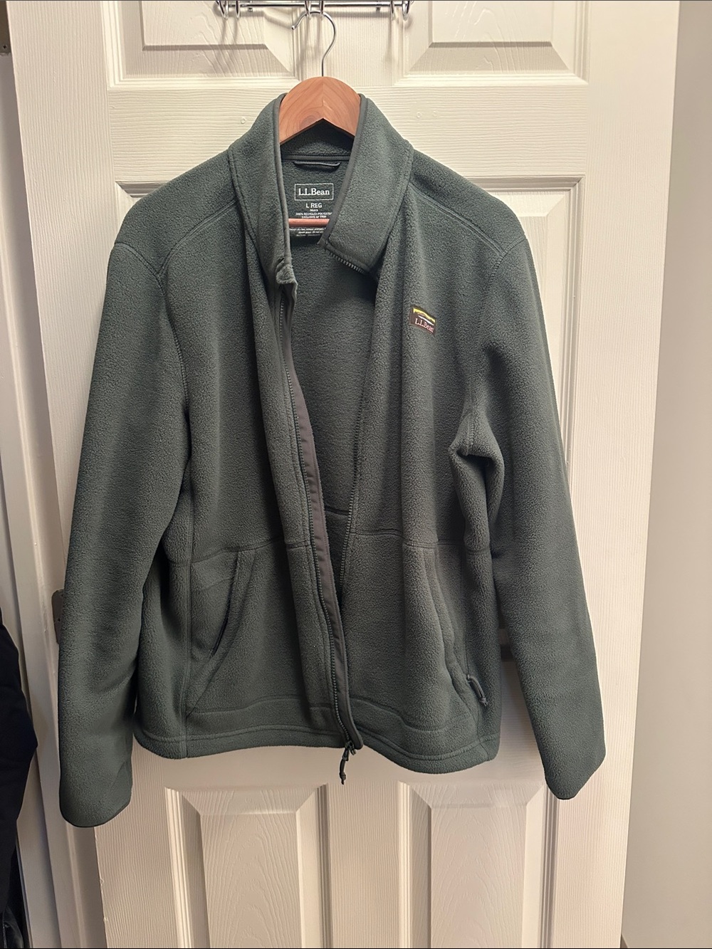 L.L. Bean Men's Mountain Classic Fleece Jacket